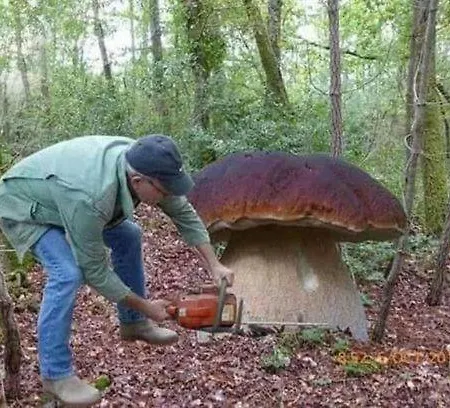 アパート U Malgorzaty Wygodne Mieszkanie Z Balkonem Dla 2 Osob ボルネ・スリノボ