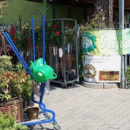 アパート U Malgorzaty Wygodne Mieszkanie Z Balkonem Dla 2 Osob ボルネ・スリノボ