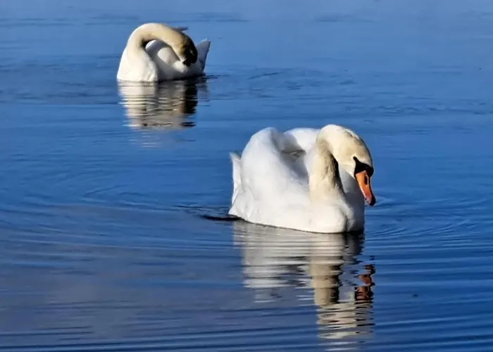 U Malgorzaty Wygodne Mieszkanie Z Balkonem Dla 2 Osob Apartman